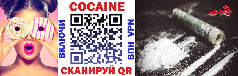 цена наркотик  Новоржев  Cocaine FishScale 