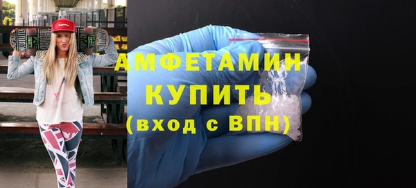 сатива Богданович