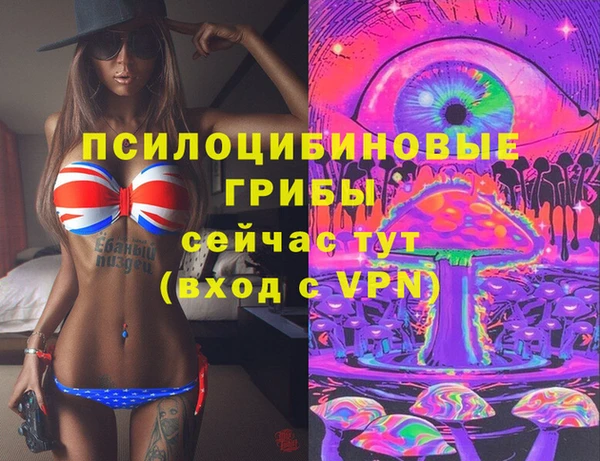 сатива Богданович