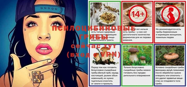 мефедрон Богородицк