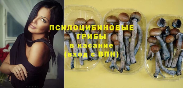 мефедрон Богородицк