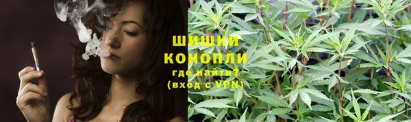 сатива Богданович
