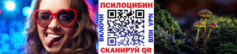 Галлюциногенные грибы мицелий  закладка  Новоржев 